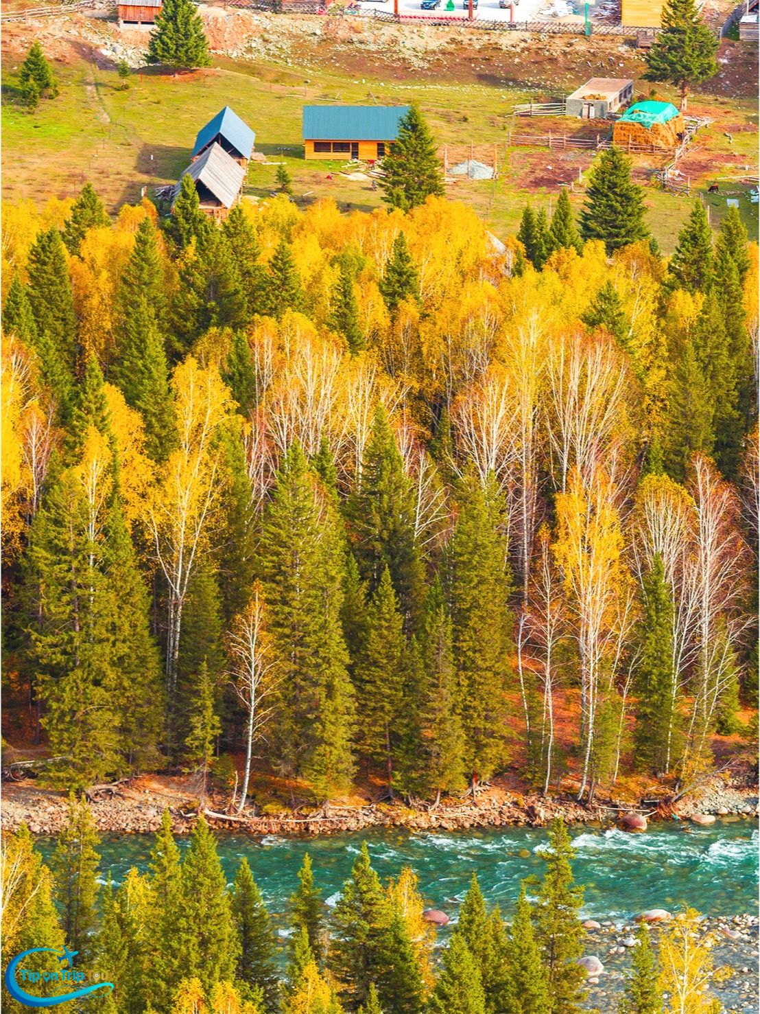 Kanas Nature Reserve