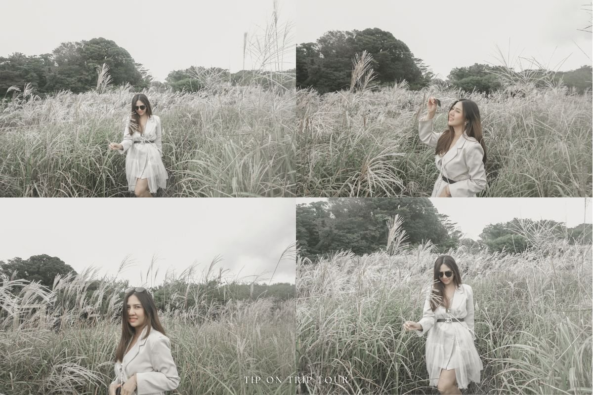 มุมถ่ายรูปสวยๆ