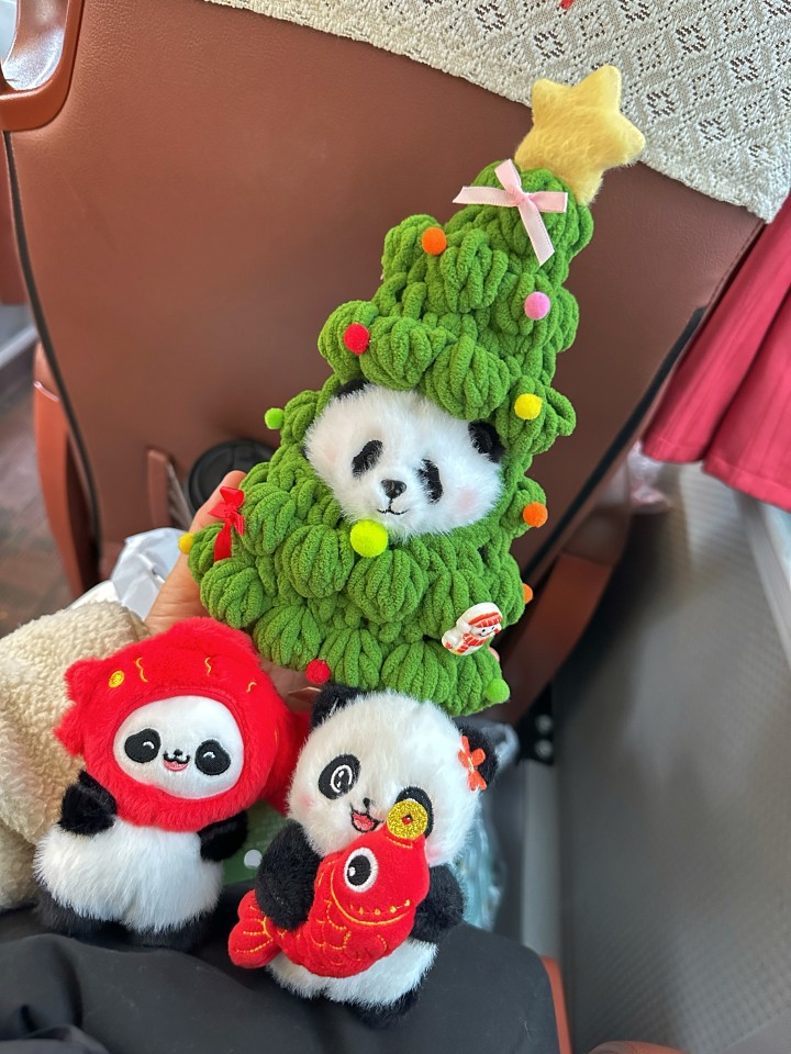 มาเมืองแพนด้า ต้องได้แพนด้ากลับบ้านนะ