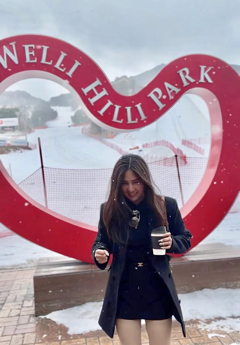 Willi Hilli Park