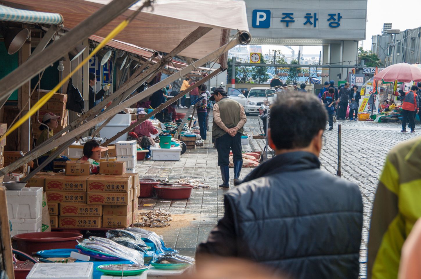 JAGALCHI MARKET