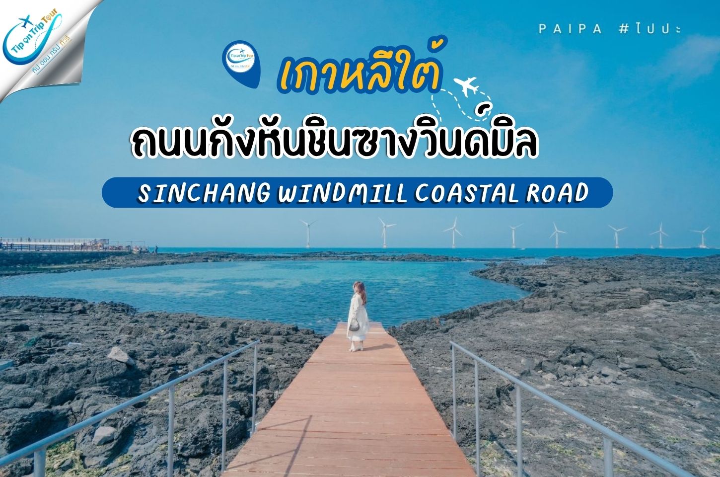 ถนนกังหันชินซางวินด์มิล SINCHANG WINDMILL COASTAL ROAD