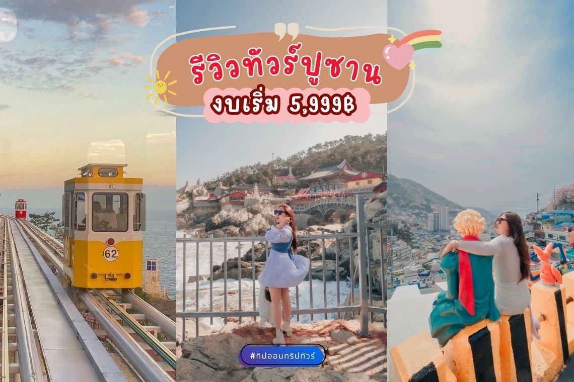 SPRING BLOOMS IN BUSAN เที่ยวปูซานฤดูดอกไม้บาน 4 วัน 2 คืน