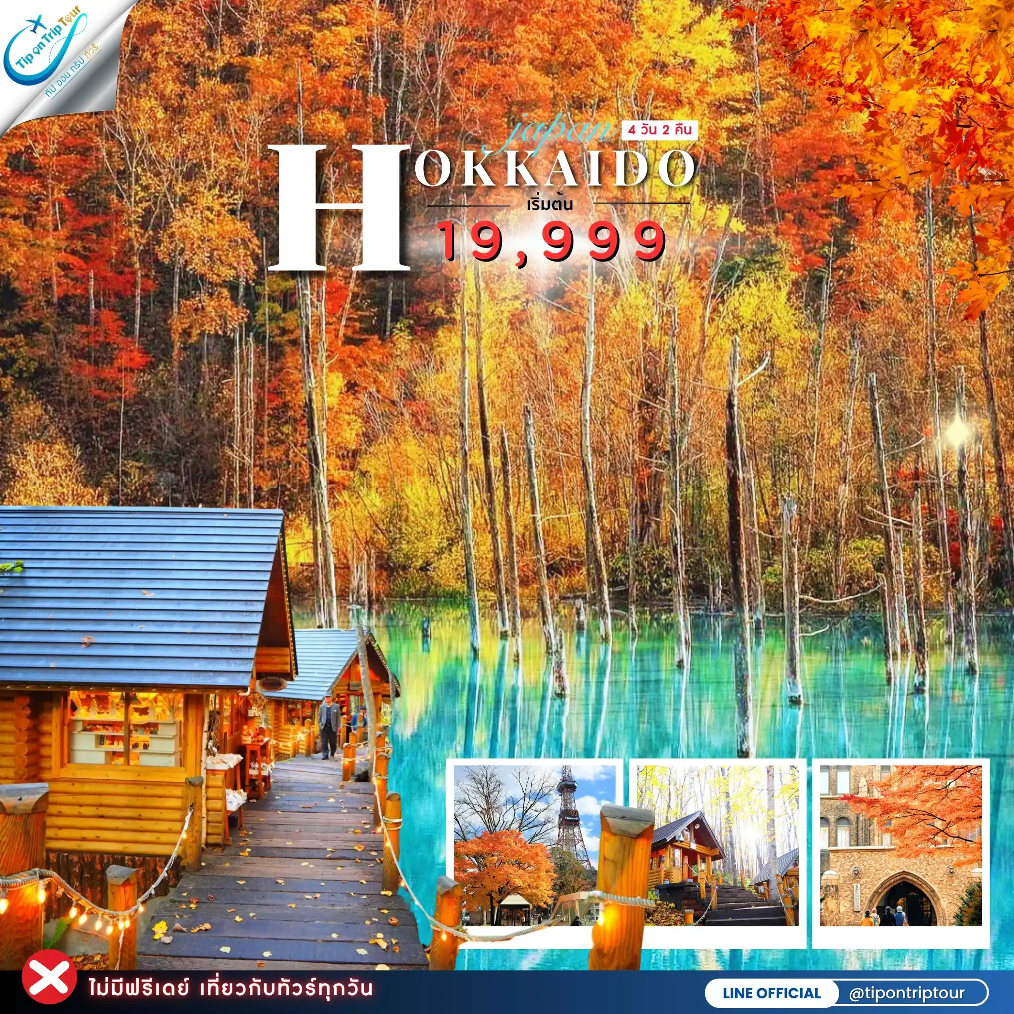 ทัวร์ญี่ปุ่น Hokkaido Autumn ฮอกไกโด 4 วัน 2 คืน เช็คราคาและวันเดินทางอัพเดตกับแอดมิน