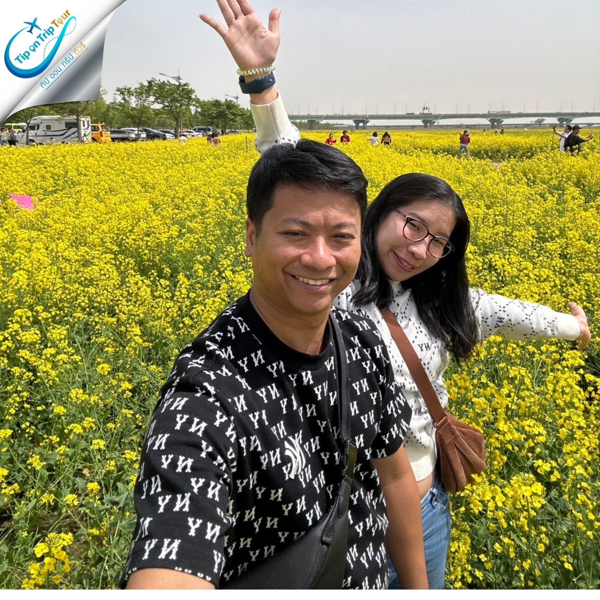 ทุ่งดอกยูแช