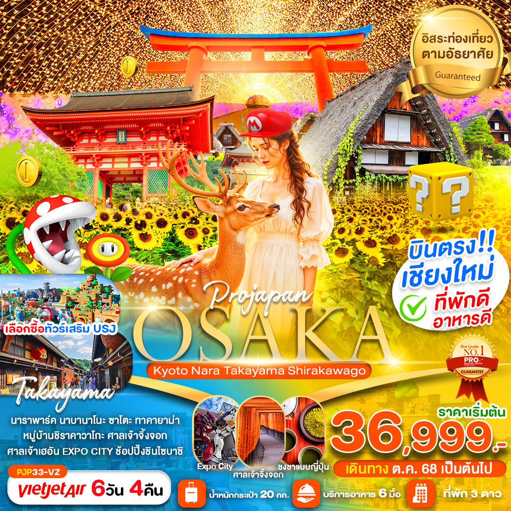 ทัวร์ญี่ปุ่น  PRO OSAKA KYOTO NARA TAKAYAMA SHIRAKAWAGO บินตรงเชียงใหม่ 6วัน 4คืน  (VZ)