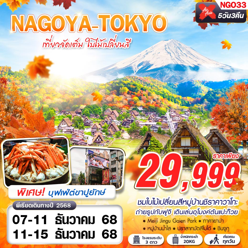 ทัวร์ญี่ปุ่น  NAGOYA-TOKYO ใบไม้เปลี่ยนสี (บินดึก กลับสาย) 5วัน 3คืน  (XJ)