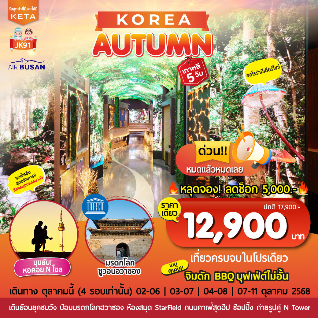 ทัวร์เกาหลี Korea Autumn 5วัน 3คืน (BX)