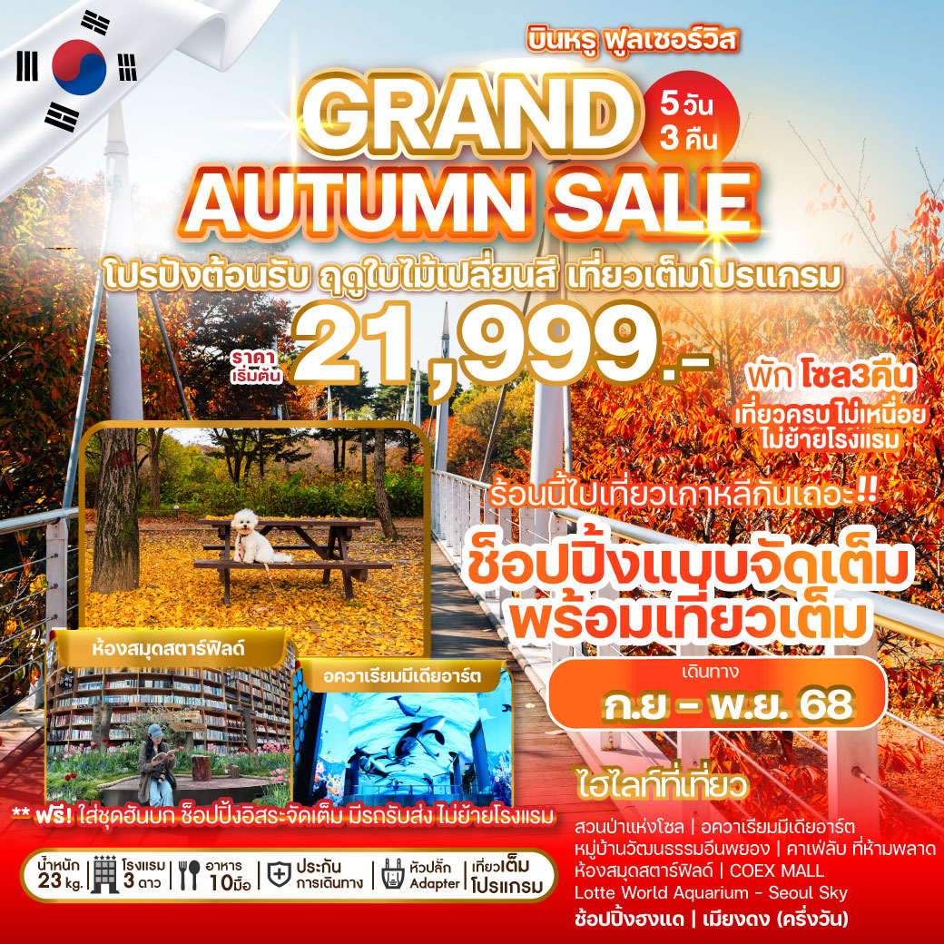 ทัวร์เกาหลี บินตรงภูเก็ต - โซล PHUKET TO SEOUL AUTUMN FESTA 5วัน 3คืน (OZ)