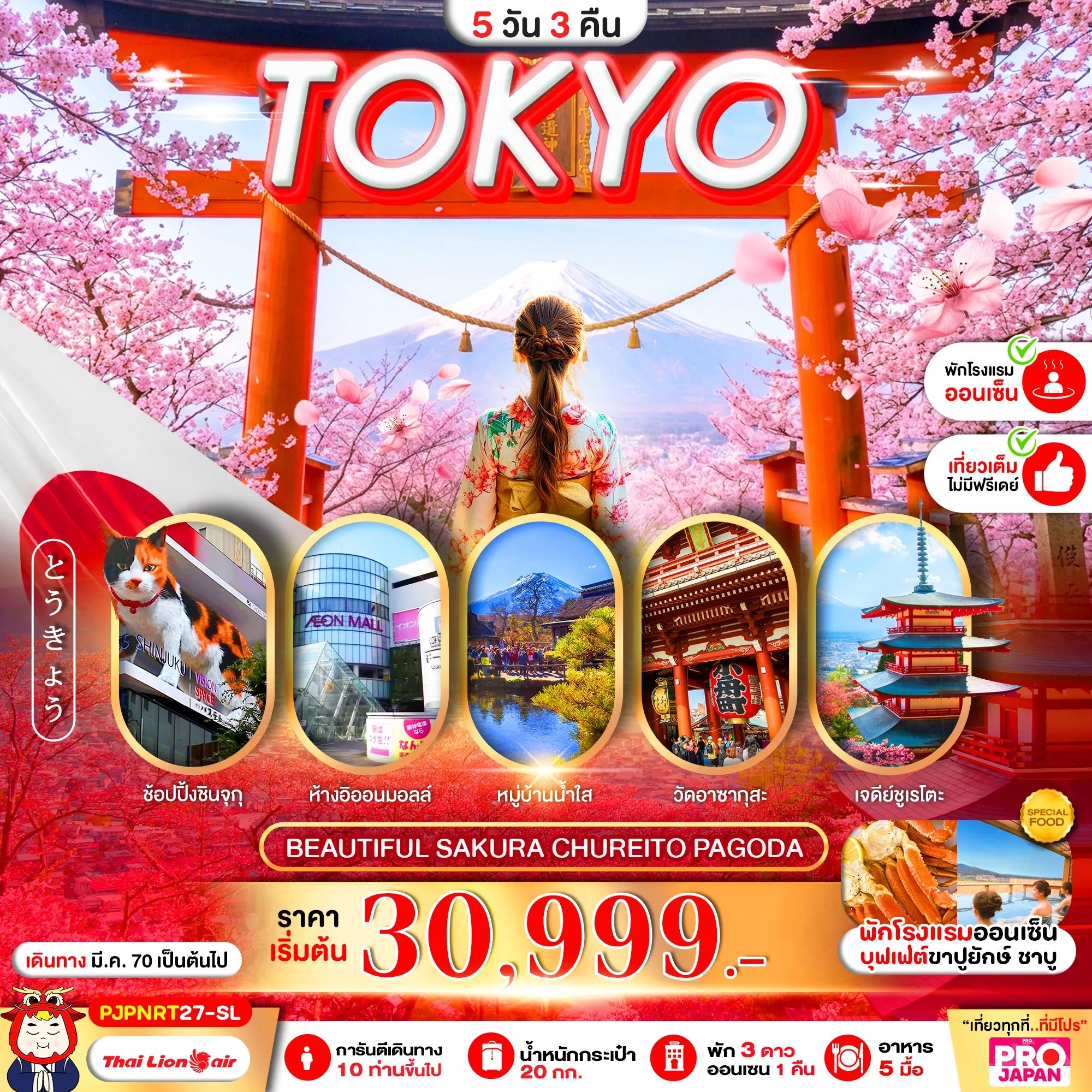 ทัวร์ญี่ปุ่น PRO TOKYO BEAUTIFUL SAKURA CHUREITO PAGODA FULL DAY 5วัน 3คืน (SL)